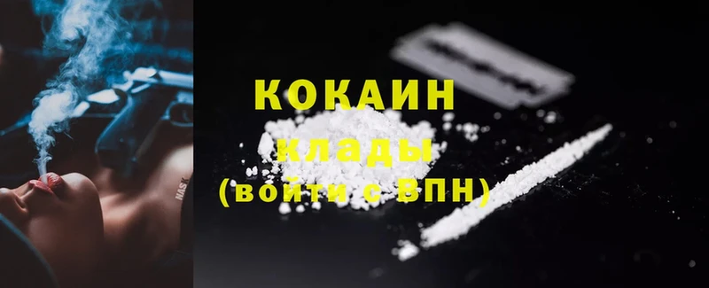 MEGA зеркало  Андреаполь  Cocaine Fish Scale 